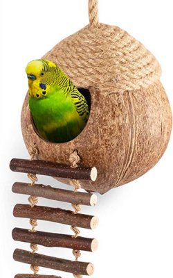 Coconut-Bird-Nest-2